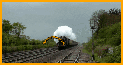 82.gif
