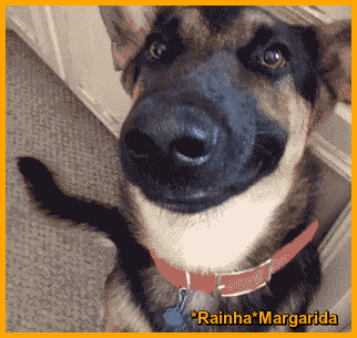 22.gif