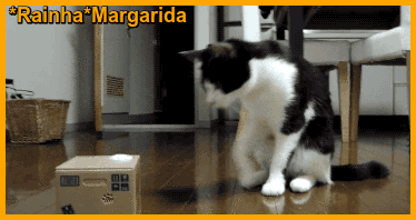 34.gif