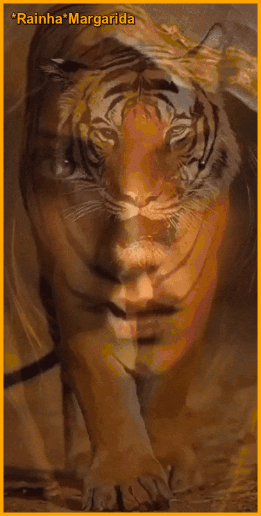 5.gif