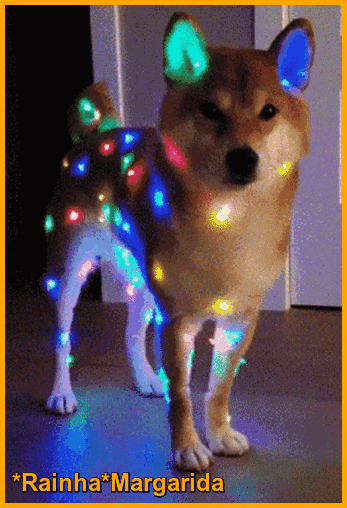 59.gif