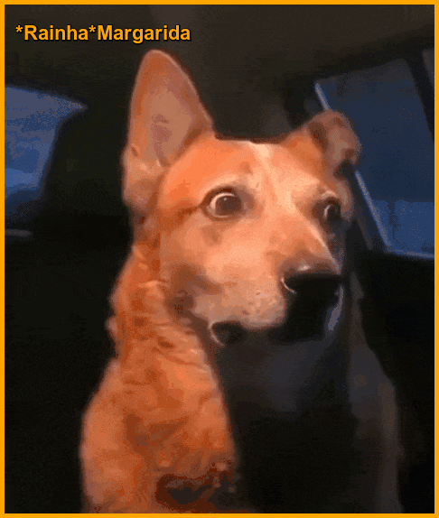7.gif