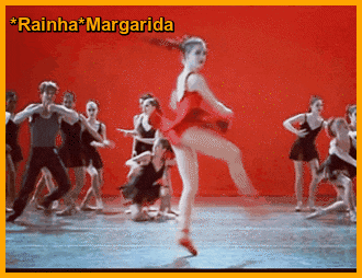 6.gif
