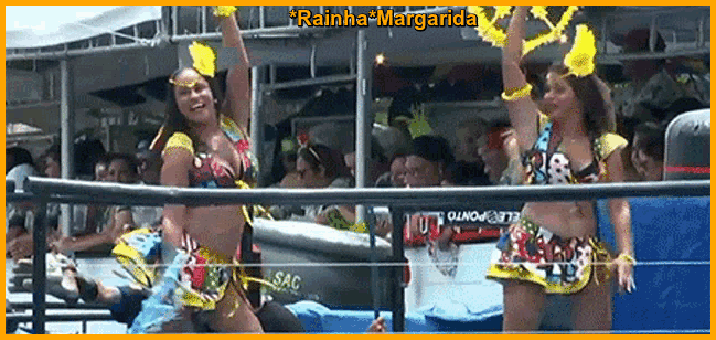 17.gif