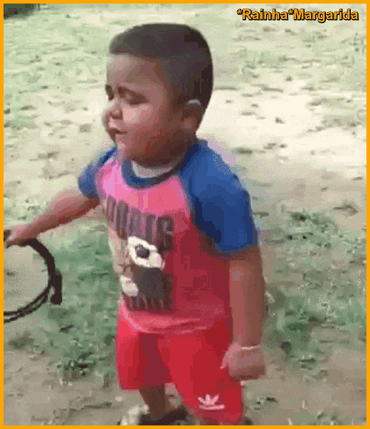 11.gif